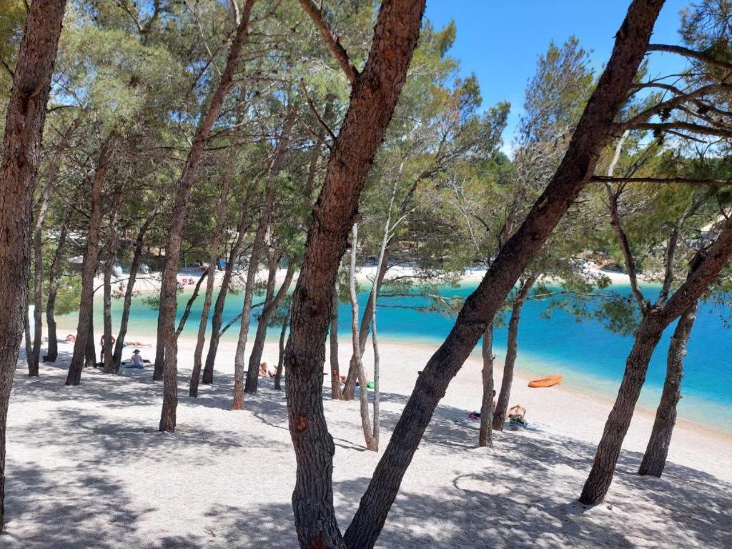 דראגה Luxury Mobile Home Pretty Green - Premium - Oaza Mira Resort -50 M From The Beach מראה חיצוני תמונה